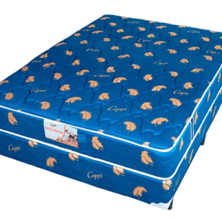 CAPRI EXCLUSIVA DOBLE USO